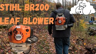 STHIL BR200 leaf blower [upl. by Ademla]