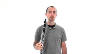 Clarinet Lesson 7 Tonguing [upl. by Ahsieni]