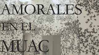 Carlos Amorales en el MUAC [upl. by Trah]