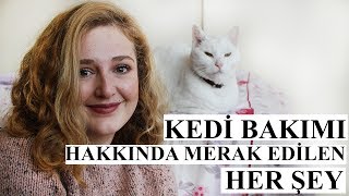 Kedi Bakımı Hakkında Merak Ettiğiniz Her Şey [upl. by Adyela]