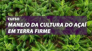 Curso “Manejo da cultura do açaí em terra firme” [upl. by Etteraj]