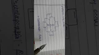 DIfference between PORPHIN and PORPHYRIN RING [upl. by Undis]