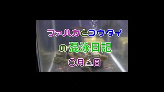 ファハカとコウタイの混泳日記 １日目 [upl. by Anhavas]