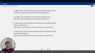 Practice Problem involving the concepts of meiosis cell ploidy and chromosome forms [upl. by Aryam]