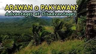 Arawan o Pakyawan Advantages at Disadvantages [upl. by Palma407]