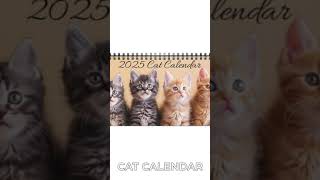 Cat Desktop Calendar Cat Desk Calendar 2025 Desk Calendar Kitten Calendar Cat Calendar Kitty [upl. by Terti]