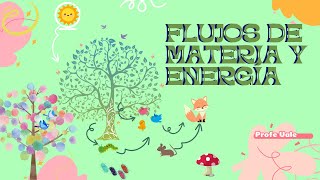 Clase 16 Flujos de materia y energía [upl. by Anialeh]