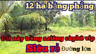 đã bán 12 ha đất đỏ pha chưa sổ đất này trồng sầu riêng càphê quá đẹp đường lớn container 700tr [upl. by Michella]