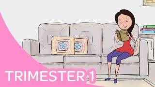 First Trimester of Pregnancy Symptoms Growth  What to Expect Week by Week in First 3 Months [upl. by Roleat117]