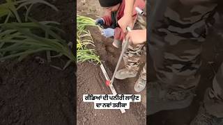 ਗੰਢਿਆਂ ਦੀ ਪਨੇਰੀ ਵਾਲੀ ਮਸ਼ੀਨ  farming agriculture makeplants grow [upl. by Amliw]