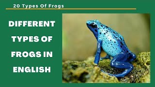 Frogs Names in English for kids  Different Types of Frogs [upl. by Eiboh]