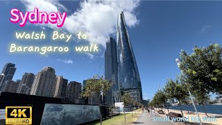 《4K》So pretty  Sydney Walsh Bay to Barangaroo Walk 2024 澳洲雪梨Barangaroo 漫步 [upl. by Netsrak]