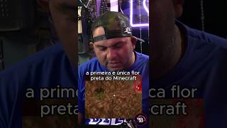 BORA BILL EXPLICA a ROSA do WITHER [upl. by Bum]