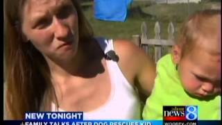 Mom Dog saved baby son from drowning [upl. by Itnava]