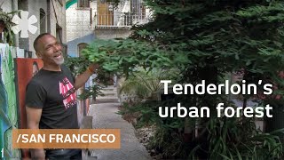 Urban forest erupts in San Franciscos Tenderloin [upl. by Aniled579]