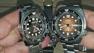 Two Seiko Marinemasters and a Turtle [upl. by Maurili]