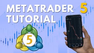 Beginners Guide To MetaTrader 5  StopLoss Take Profit Order Types Explained [upl. by Denney]