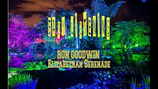 RON GOODWIN  ELIZABETHAN SERENADE [upl. by Niggem465]