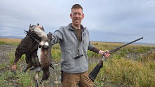 4 Days Hunting Ducks Geese amp Fishing Nome Alaska [upl. by Ymmik]