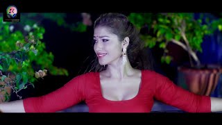 Bairi Piya Lyrical Video  Udit Narayan Shreya Ghoshal  Devdas [upl. by Ashia]