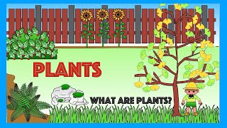 Plants for Kids  What are plants  Facts and Quiz [upl. by Broder]