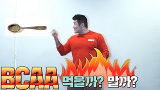 근육을 키우려고 BCAA 보충제 먹을까 말까 고민 중이라면 꼭시청 트리거15초 [upl. by Luelle36]