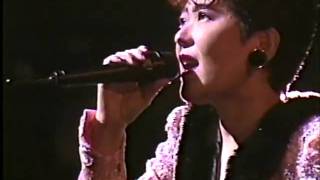 椎名恵 Please dont you cry [upl. by Worrad531]