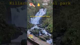 Killarney National park travel weather waterfallnaturephotographynationalpark [upl. by Enitnelav]