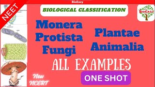 examples of biological classification  Monera  Protista  fungi  plantae  Animalia  algae amit [upl. by Osbourne]