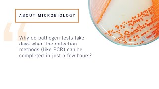 Daniel DeMarco  quotWhy do pathogen tests take days when PCR can be completed in just a few hoursquot [upl. by Salguod801]