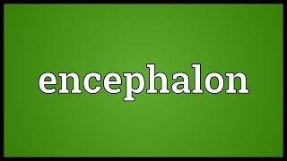 Encephalon Meaning [upl. by Anele]