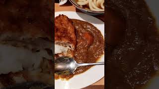 MARUGAME UDON AYALA CIRCUIT MALL MAKATI PHILIPPINES KATSU AND CURRY [upl. by Jarred664]