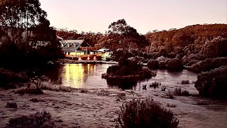 STAY AT PEPPERS CRADLE MOUNTAIN LODGE amp Nature FULL REVIEW  Cradle Mountain Tasmania Australia 🇦🇺 [upl. by Ettennan]