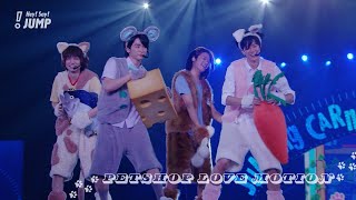 Hey Say JUMP  ペットショップラブモーション Official Live Video 知念 中島 髙木 伊野尾 [upl. by Maggs]