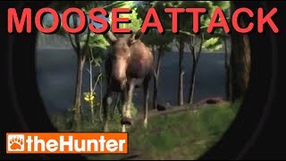 Moose Attack  theHunter Classic [upl. by Giannini106]