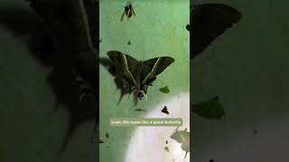 quotlnsectopiaExploring the Fascinting World of lnsectsquot insect insects shorts short shortvideo [upl. by Chem602]