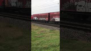 DB Vectron in Parndorf zugfahrt train trainspotting [upl. by Esac]