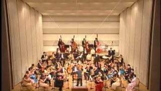 Beethoven Symphony 8 mov1  The New Tokyo Chamber Philharmonic TCP [upl. by Eikcaj780]