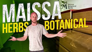 Maissa Botanical Herbs Indonesia Kratom Vendors [upl. by Syramad]