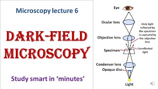 Darkfield microscope  working principle  Advantages disadvantages  Microscopy lecture 6 [upl. by Nylde]