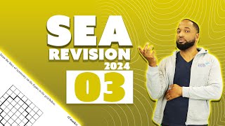 SEA Revision 3 [upl. by Selym]