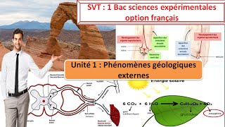 Unité 1  Phénomènes géologiques externes  SVT 1BAC sciences expérimentales option français [upl. by Nivla3]