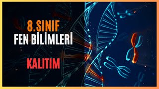 8SINIF  FEN BİLİMLERİ  KALITIM lgs [upl. by Zondra]