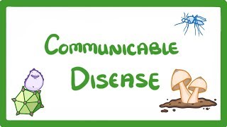 GCSE Biology  Communicable Disease 34 [upl. by Meela]