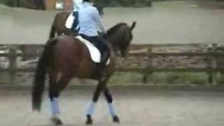 How to Ride the Elementary 59 Dressage Test Part 1  HorseandRider UK [upl. by Ikkaj]