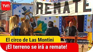 ¡El terreno se irá a remate  El circo de Las Montini  T1E8 [upl. by Enelav]