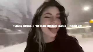 Tricky Disco x 12 Inch tiktok remix  sped up [upl. by Enialedam898]