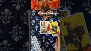 Current feelings shorts trending viral tarotcards tarotreading [upl. by Erdnuaed]