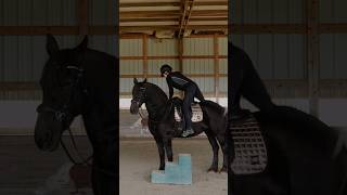 Riding my friesian mare for the first time in a year😍🔥 [upl. by Debo608]