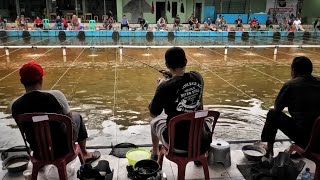 Umpan Mancing Galapung Simpel Tanpa Kukus  Ikan Babon dan Rame Makanin Banget [upl. by Novel627]